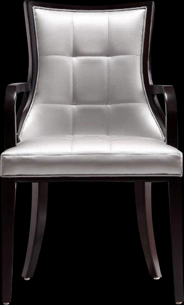 Cahabay Silver Arm Chair - Thumbnail - Image 1