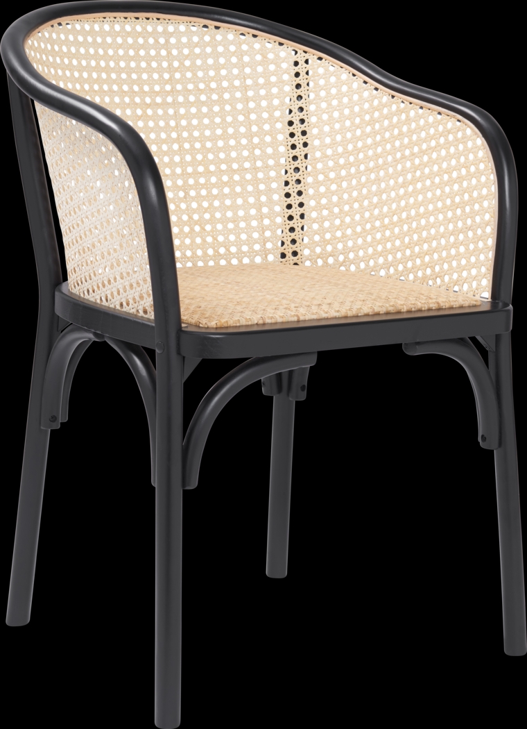 Cahic Black Arm Chair - Thumbnail - Image 3