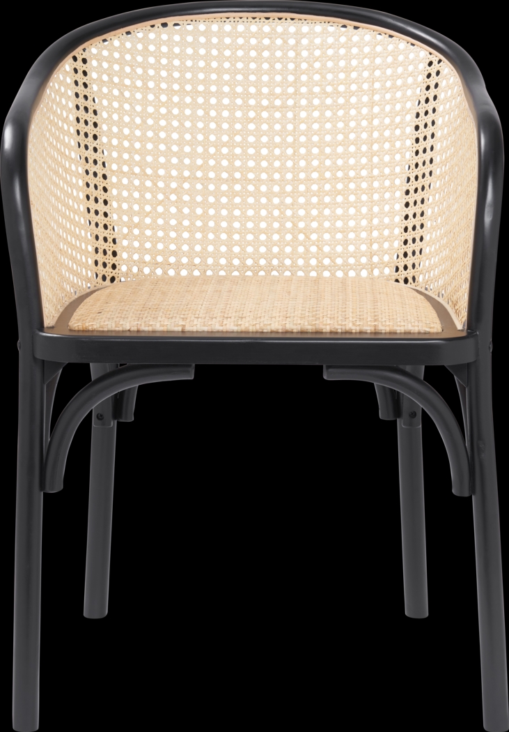 Cahic Black Arm Chair - Thumbnail - Image 1