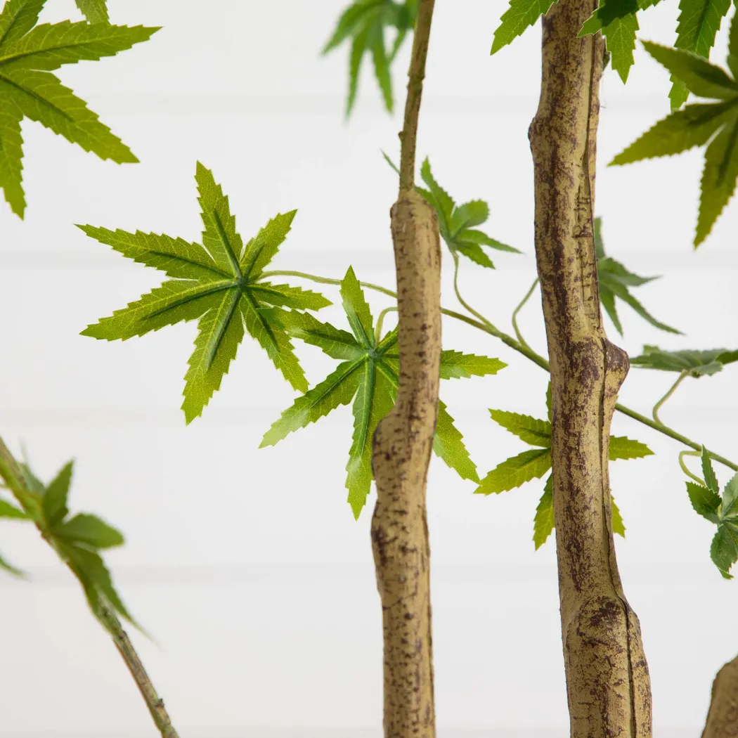 Calamia Green Silk Tree - Thumbnail - Image 3