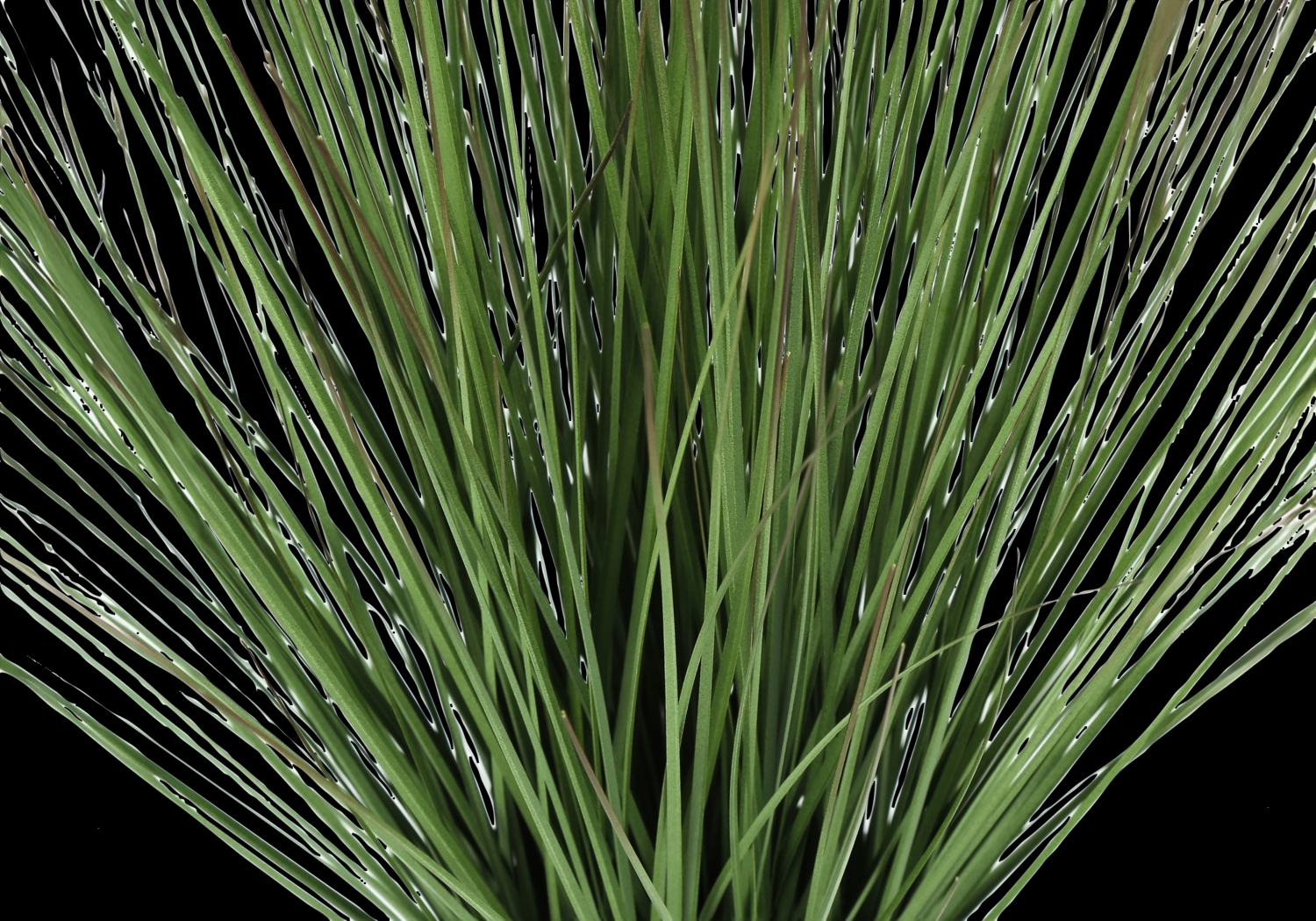 Calamondin Green Artificail Grass Plant - Thumbnail - Image 4