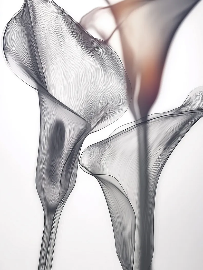 Cally I White Artwork - Thumbnail - Image 1