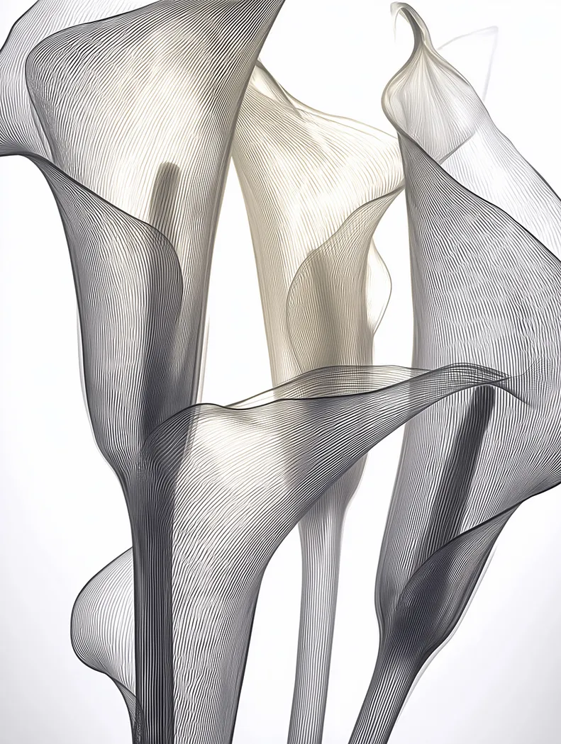 Cally II White Artwork - Thumbnail - Image 1