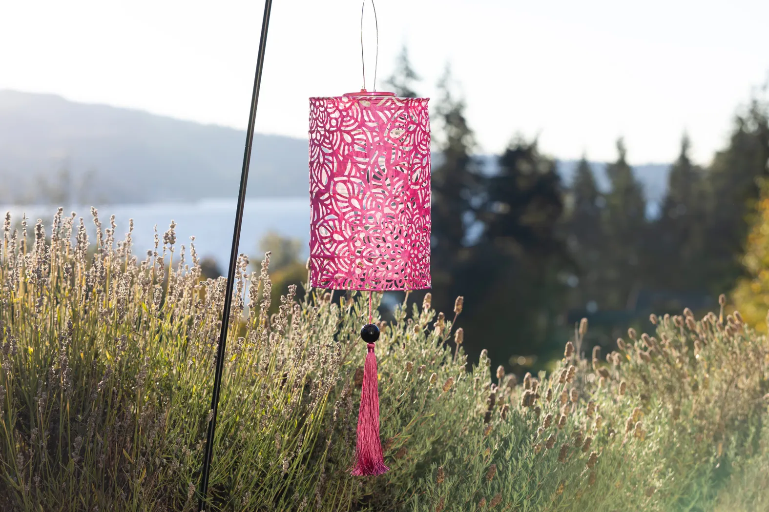 Calypso Raspberry Outdoor Solar Lantern - Thumbnail - Image 7