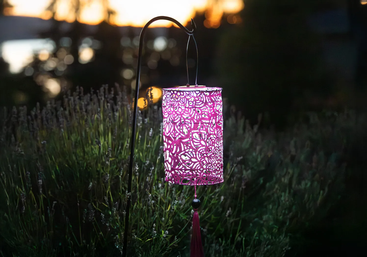Calypso Raspberry Outdoor Solar Lantern - Thumbnail - Image 8