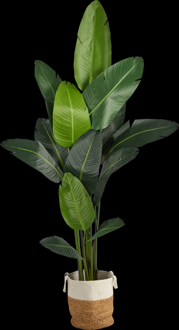 Candsu Green Tree with Basket - Thumbnail - Image 1