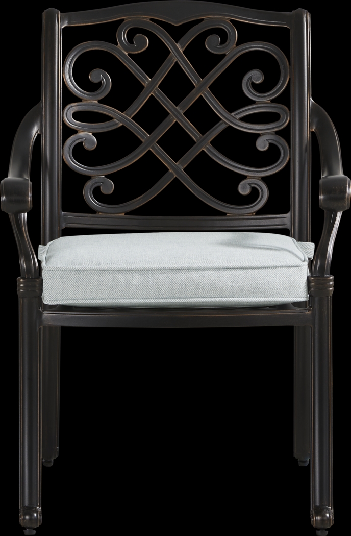 Carina Bronze Outdoor Arm Chair with Sky Cushion - Thumbnail - Image 2