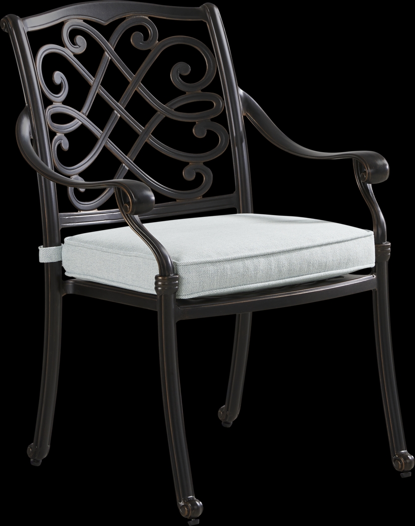 Carina Bronze Outdoor Arm Chair with Sky Cushion - Thumbnail - Image 1