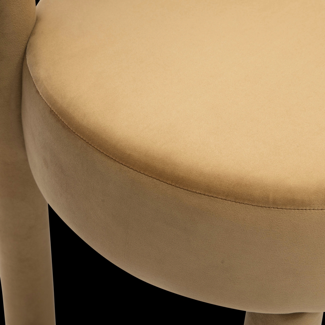 Carmela Ann Cognac Dining Chair - Thumbnail - Image 6