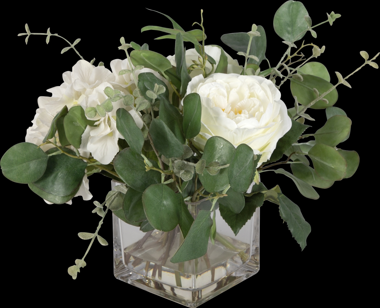 Carolus White Plant - Thumbnail - Image 4