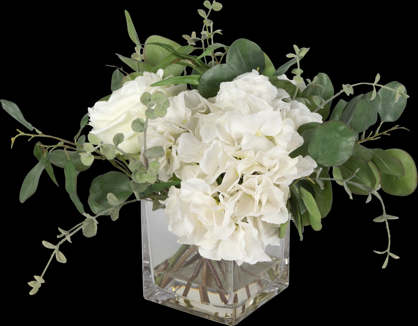 Carolus White Plant - Thumbnail - Image 1