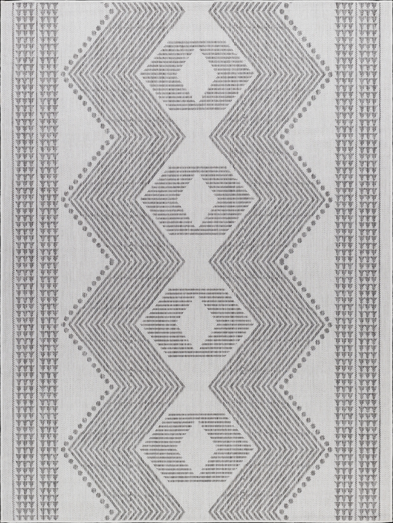 Carson Gray 7'10 x 10' Indoor/Outdoor Rug - Thumbnail - Image 1