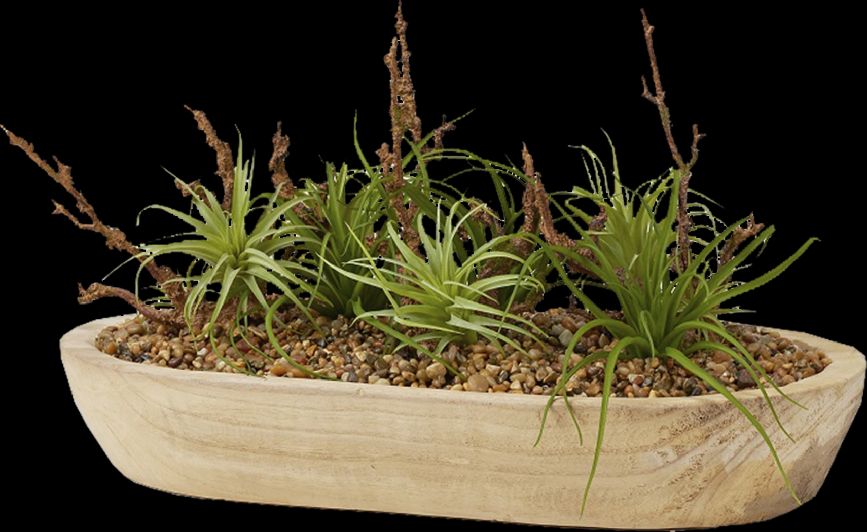 Cayada Brown Plant - Thumbnail - Image 1