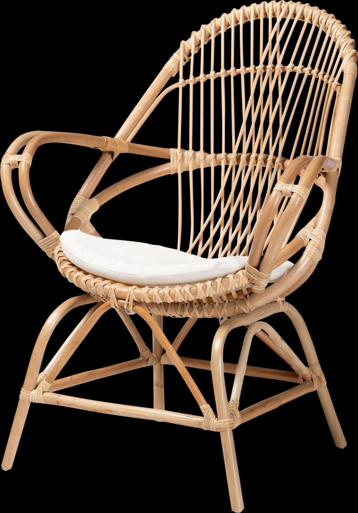 Cazenove Brown Accent Chair - Thumbnail - Image 1