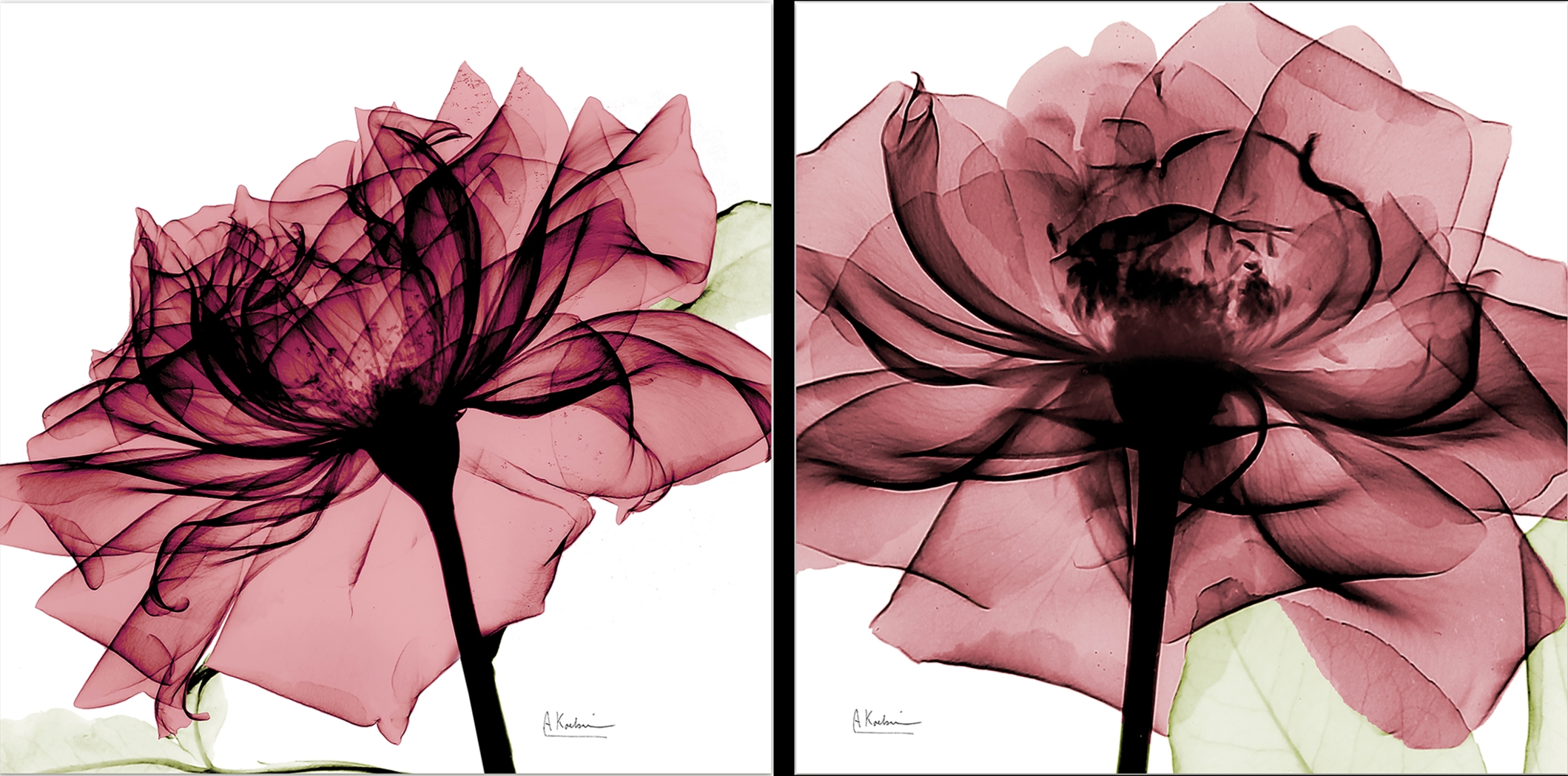 Chamizal Pink Artwork, Set of 2 - Thumbnail - Image 1