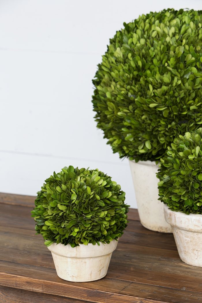 Charis Green Vase - Thumbnail - Image 2