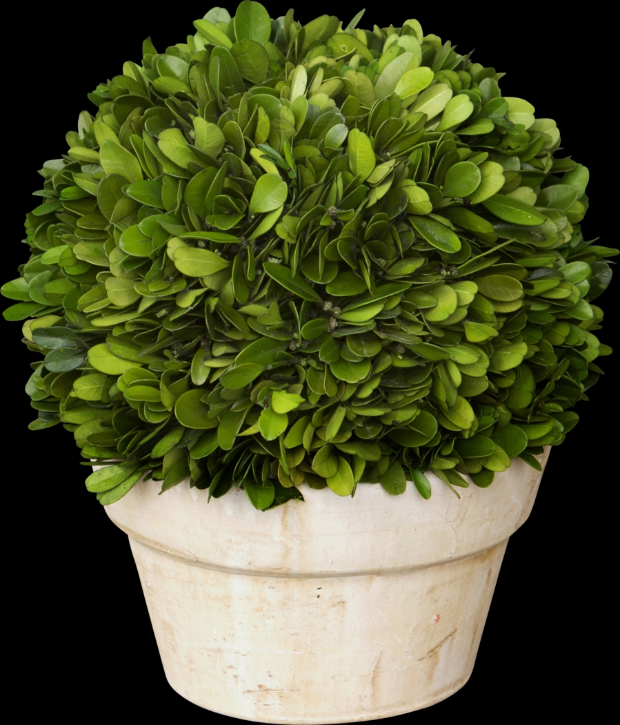 Charis Green Vase - Thumbnail - Image 1