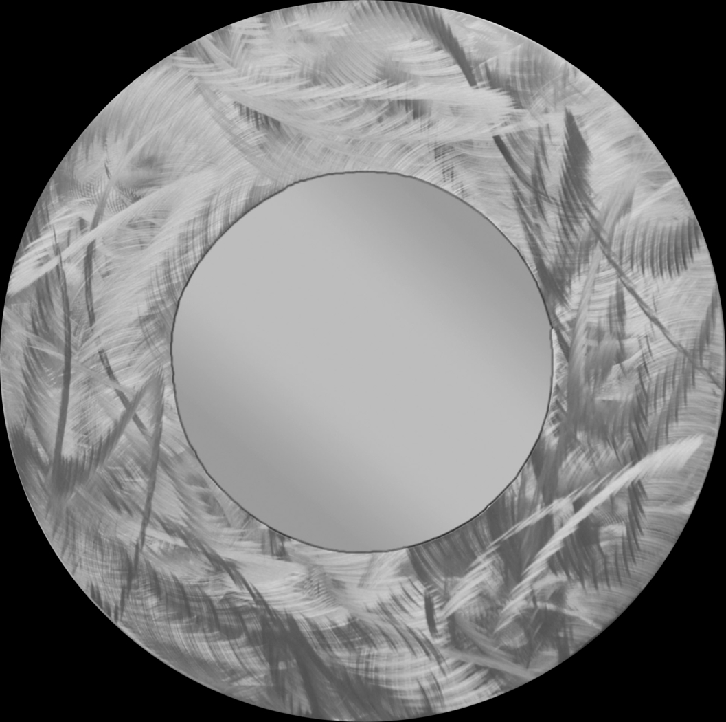 Charol Silver Mirror - Thumbnail - Image 1