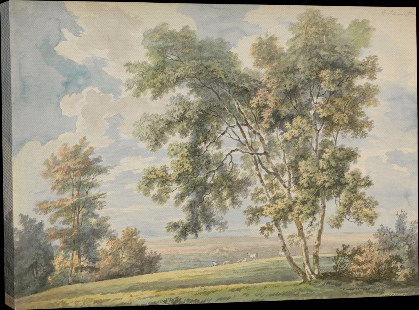 Chaucier Green Canvas Wall Art - Thumbnail - Image 1