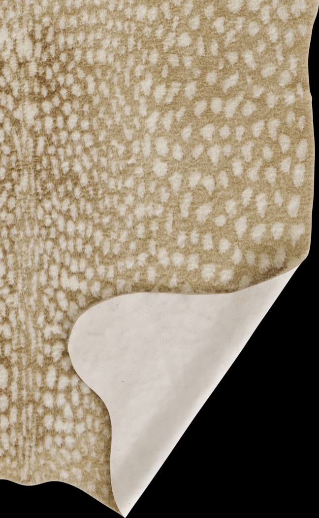 Chazin Beige 5'3 x 7'10 Rug - Thumbnail - Image 6