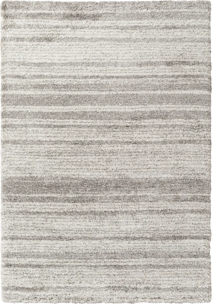 Cheguya Light Gray 5'4 x 7'7 Area Rug - Thumbnail - Image 1