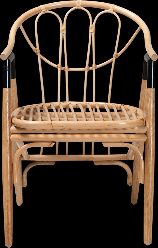 Chezelle Brown Arm Chair - Thumbnail - Image 3