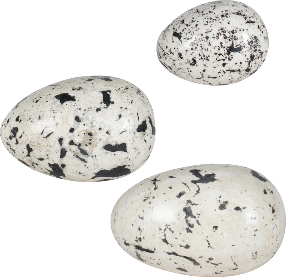Chicka White Outdoor Sculpture, Set of 3 - Thumbnail - Image 7