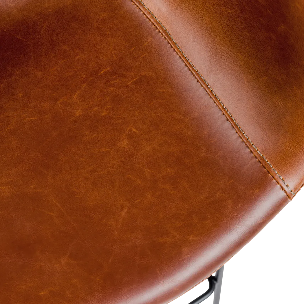 Choupique Dark Brown Counter Stool, Set of 2 - Thumbnail - Image 11