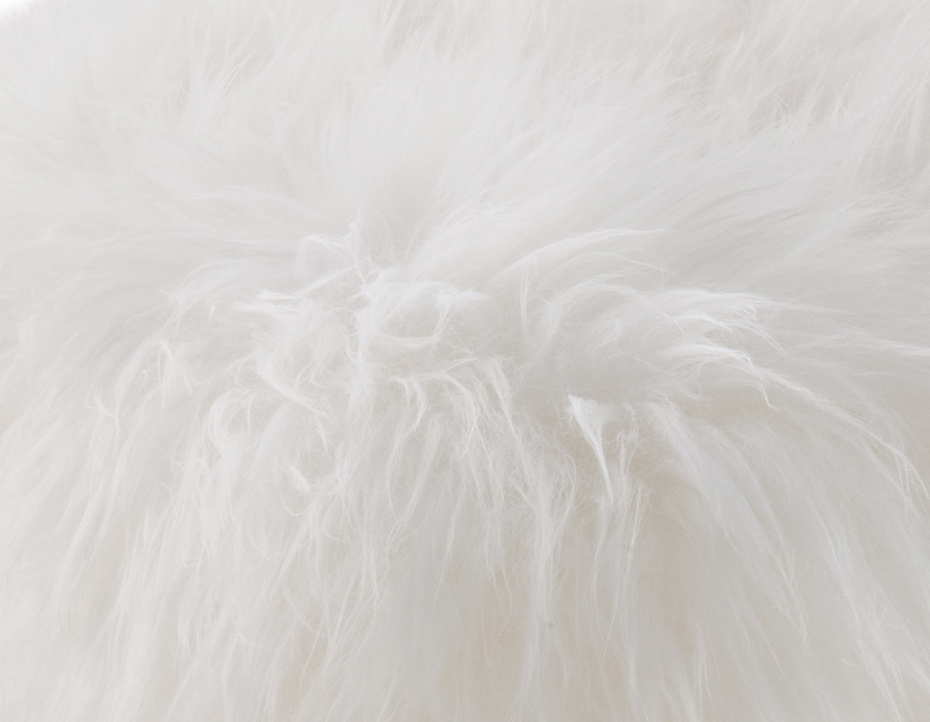 Churra White Bench - Thumbnail - Image 4