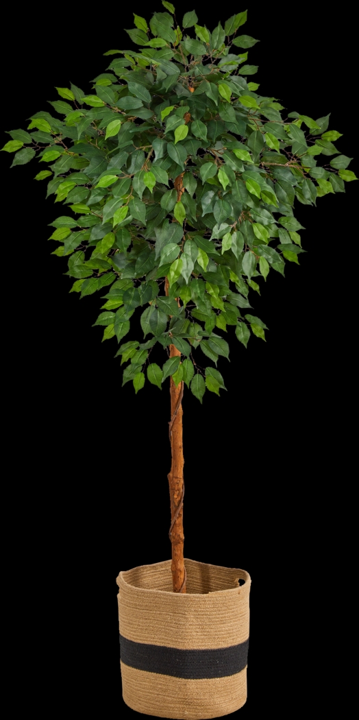 Cipriano Green Tree with Basket - Thumbnail - Image 1