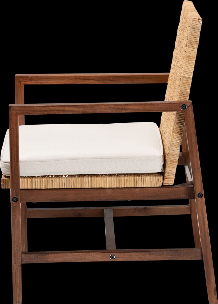 Circarama Brown Accent Chair - Thumbnail - Image 4