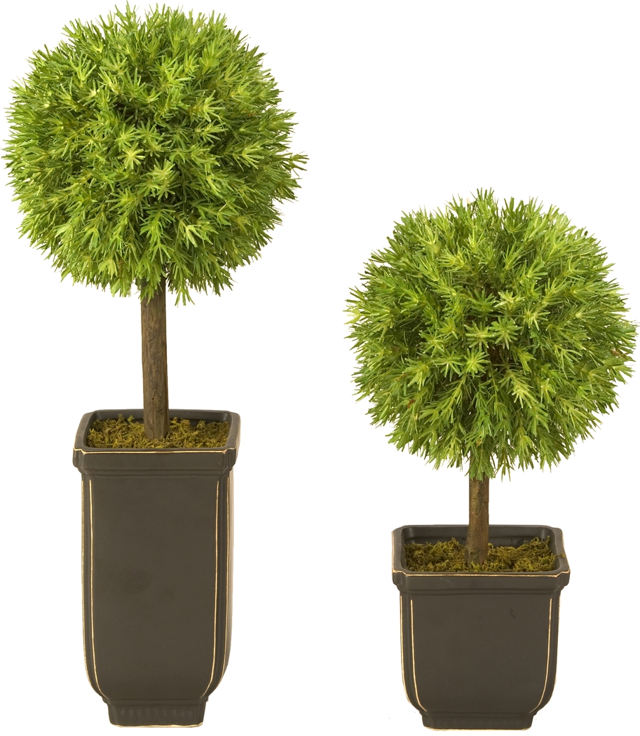 Classic Topiaries - Thumbnail - Image 1