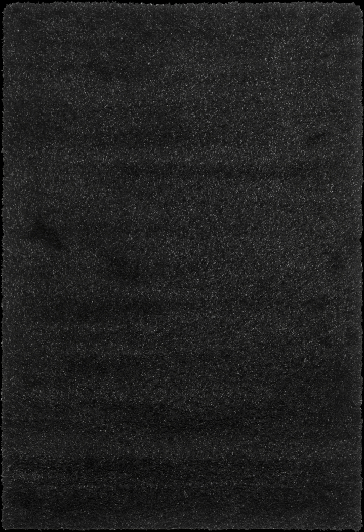 Cleona Black 3' x 5' Rug - Thumbnail - Image 1