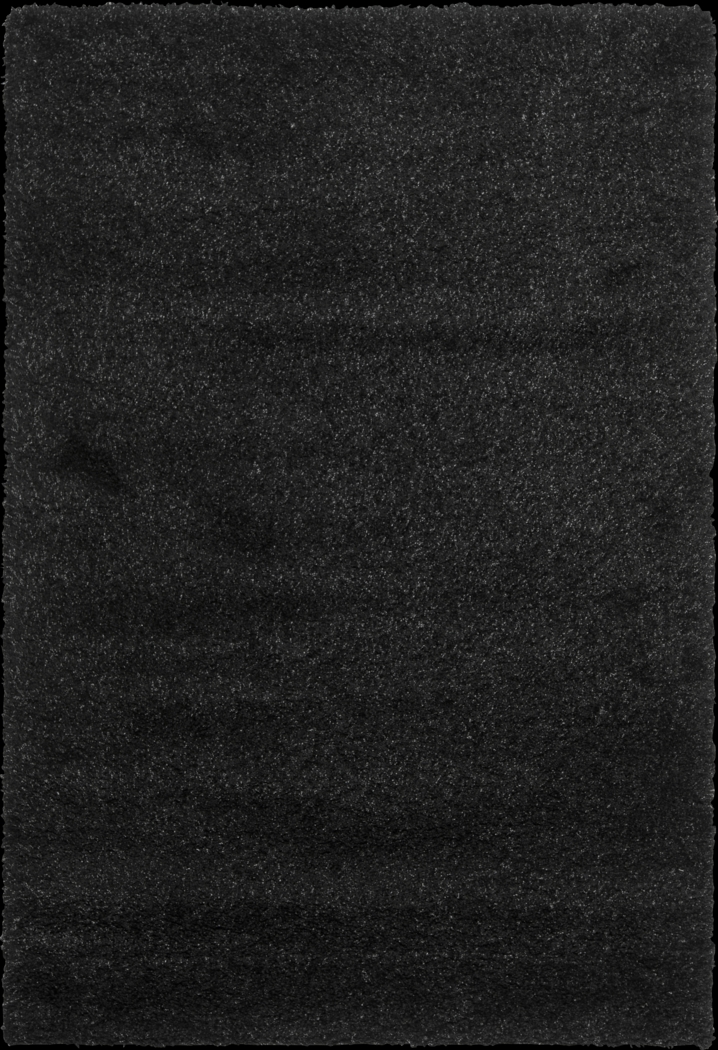 Cleona Black 4' x 6' Rug - Thumbnail - Image 1