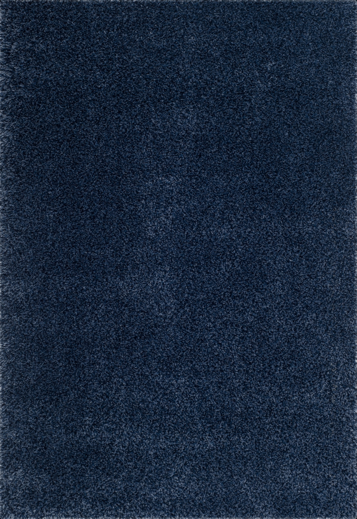 Cleona Navy 4' x 6' Rug - Thumbnail - Image 1