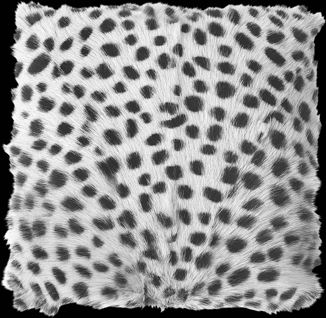 Cler Gray Pouf - Thumbnail - Image 3