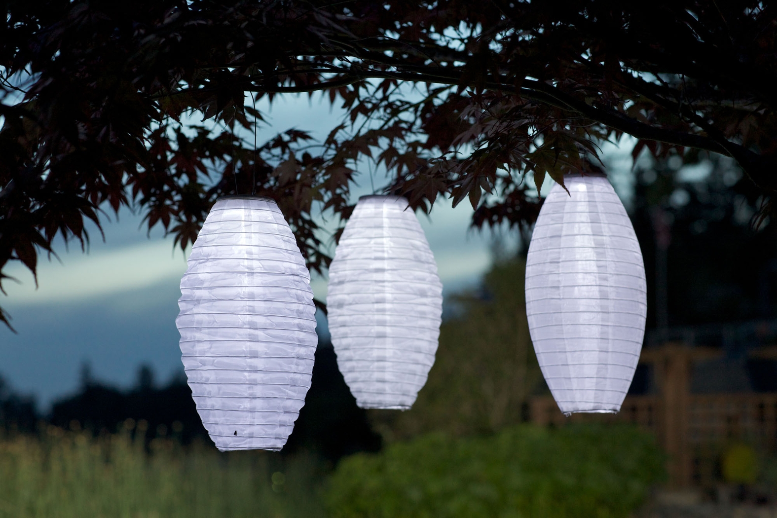Clovedale White Outdoor Solar Lantern - Thumbnail - Image 3
