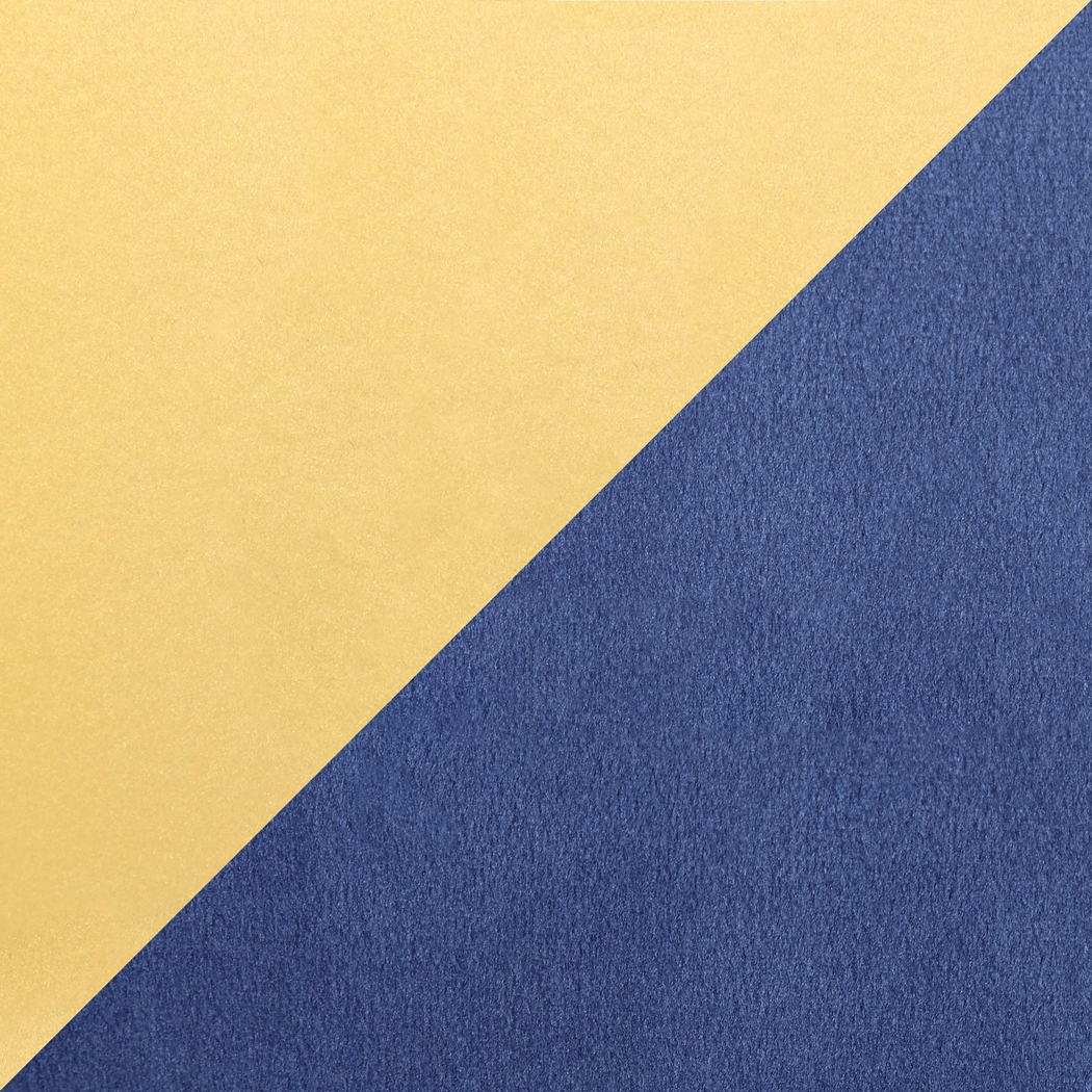 Clovis Blue Dining Chair, Set of 2 - Thumbnail - Image 5