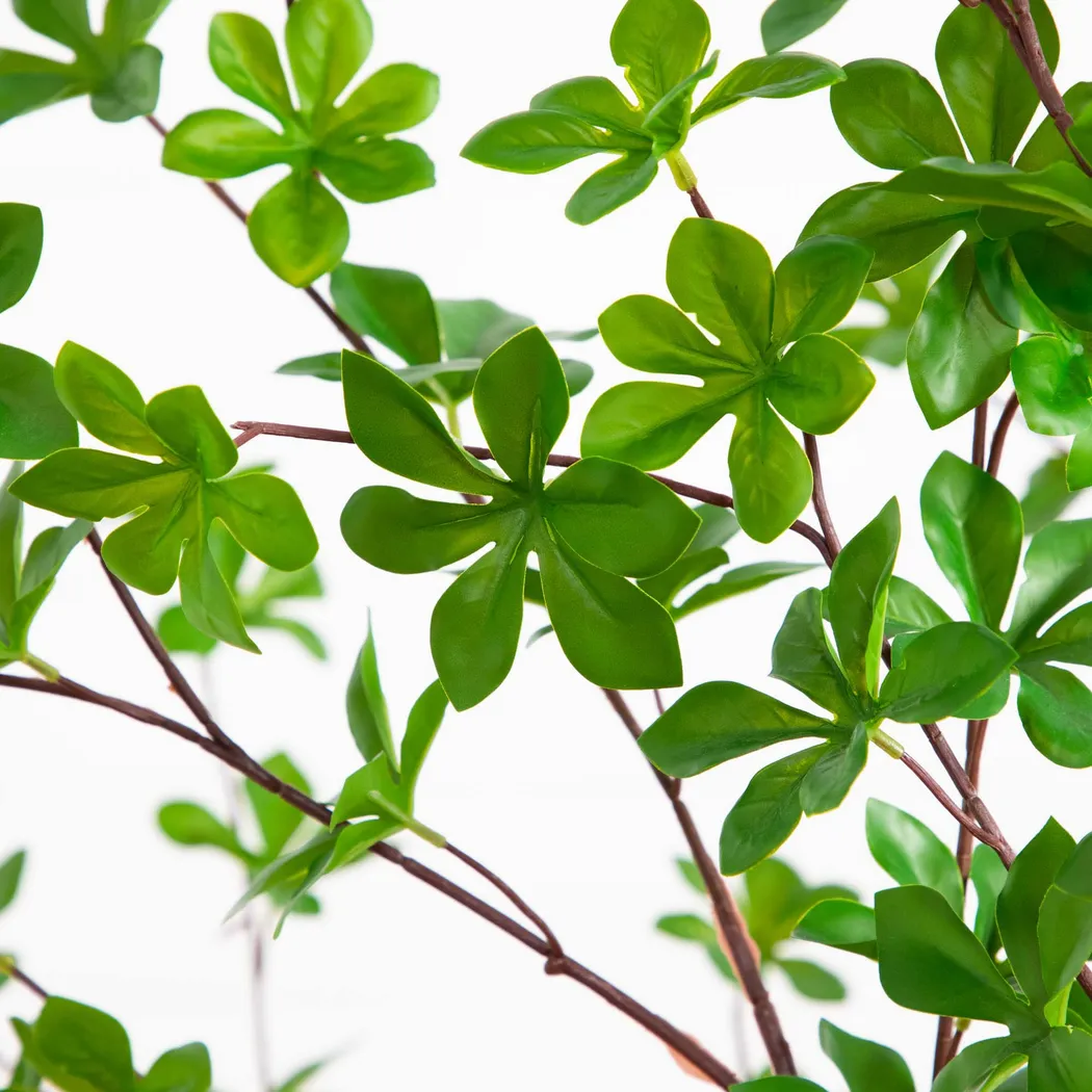 Clyston Green Silk Tree - Thumbnail - Image 3