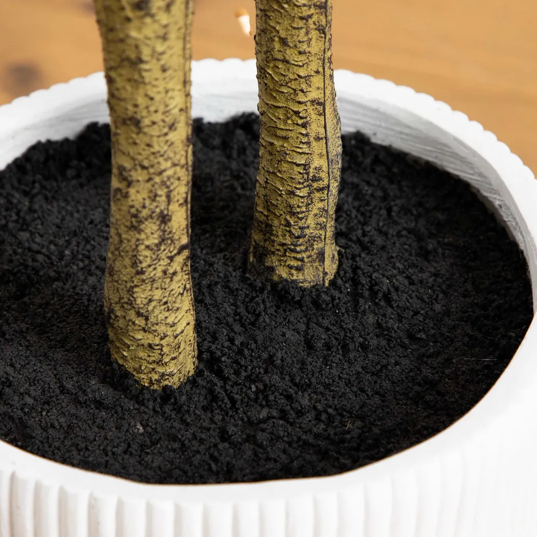 Clyston Green Silk Tree - Thumbnail - Image 5