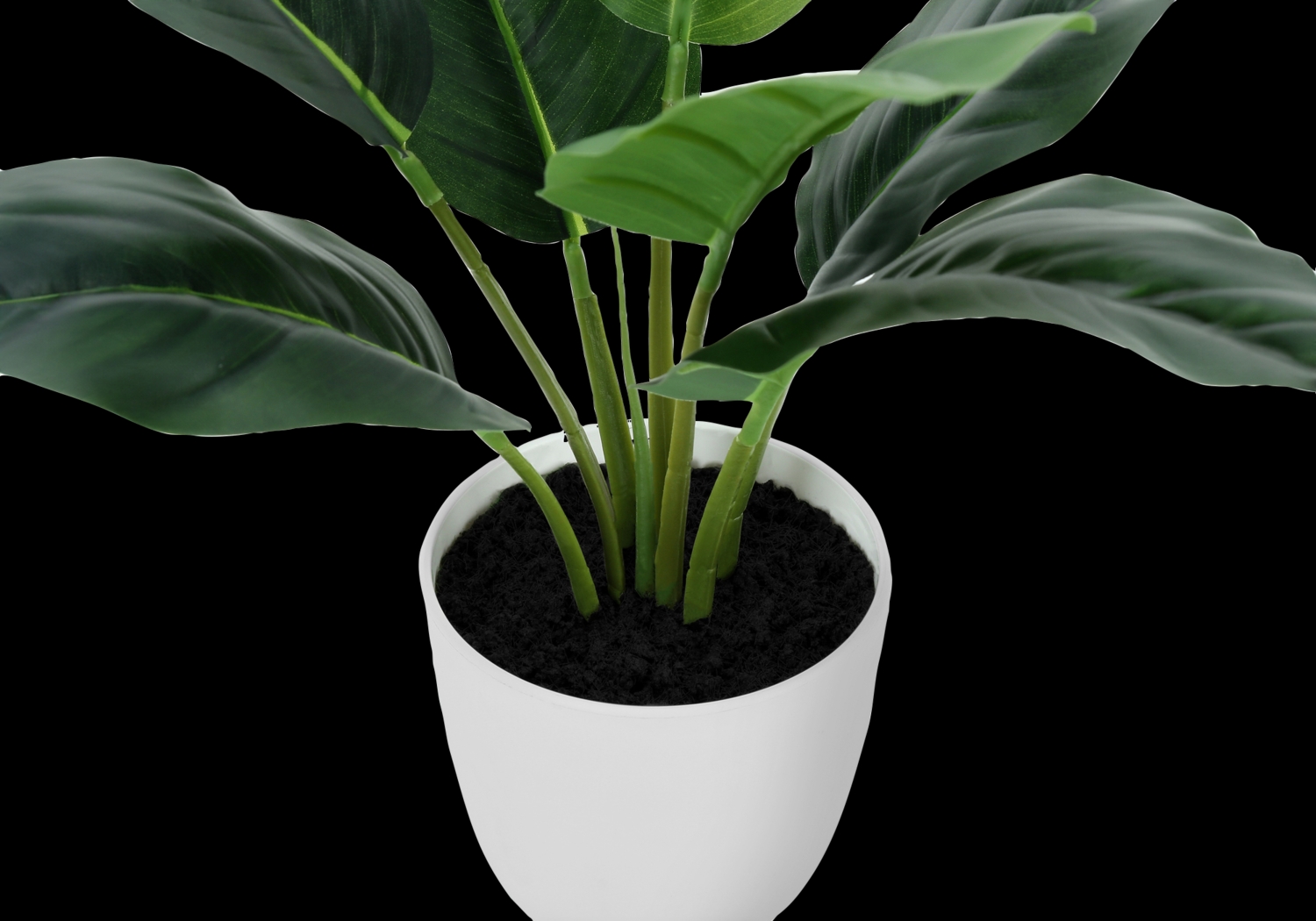 Coastline Green Artificial Aureum Plant - Thumbnail - Image 3