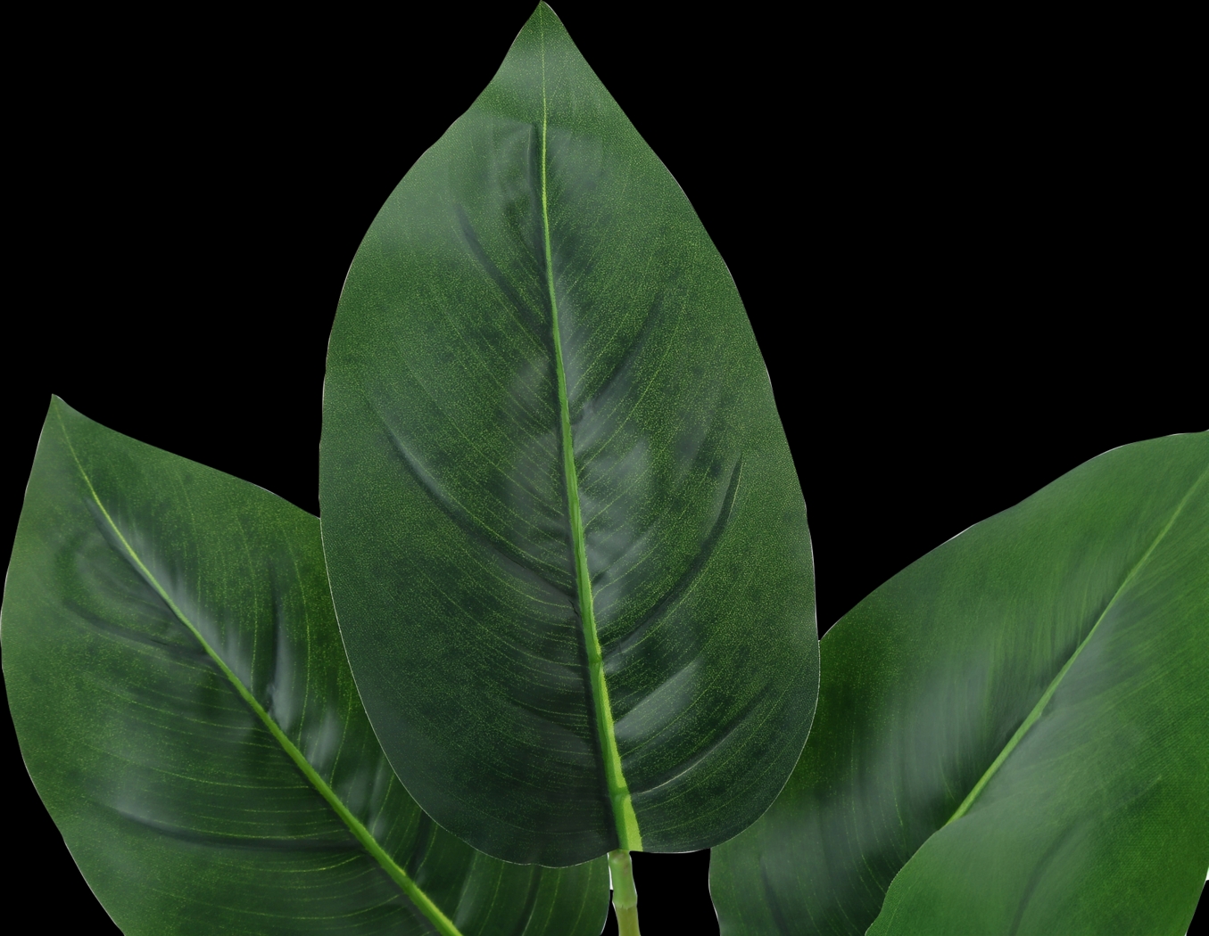 Coastline Green Artificial Aureum Plant - Thumbnail - Image 4