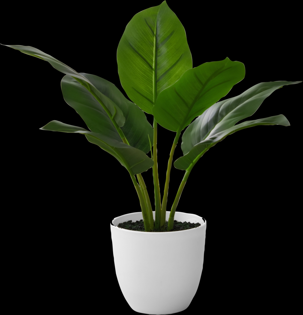 Coastline Green Artificial Aureum Plant - Thumbnail - Image 1