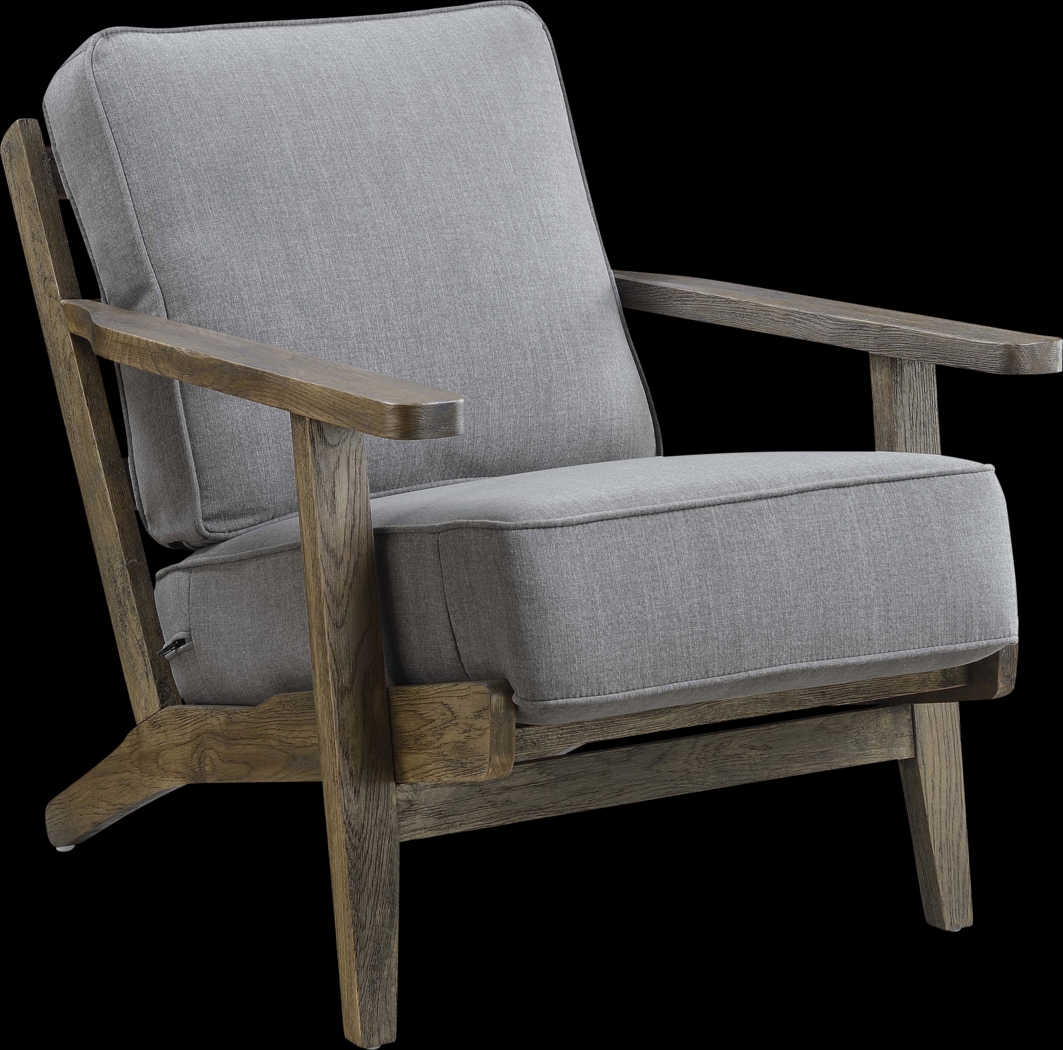 Coesta Gray Accent Chair - Thumbnail - Image 1