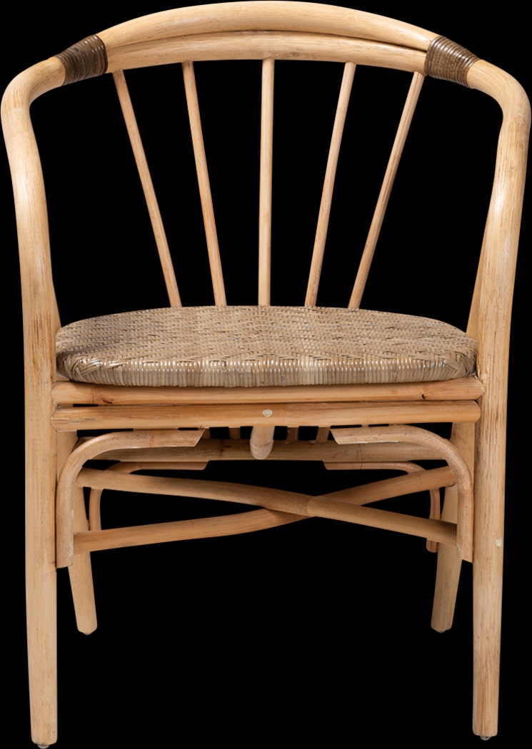 Colmillo Brown Arm Chair - Thumbnail - Image 3