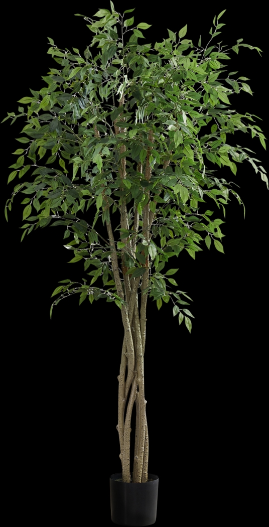 Colusay Green Silk Plant - Thumbnail - Image 1