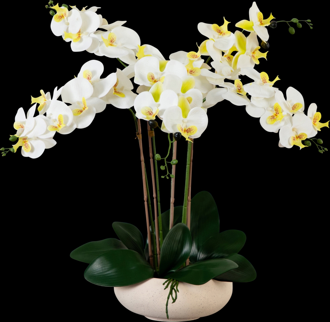 Connellsville White Silk Floral - Thumbnail - Image 1