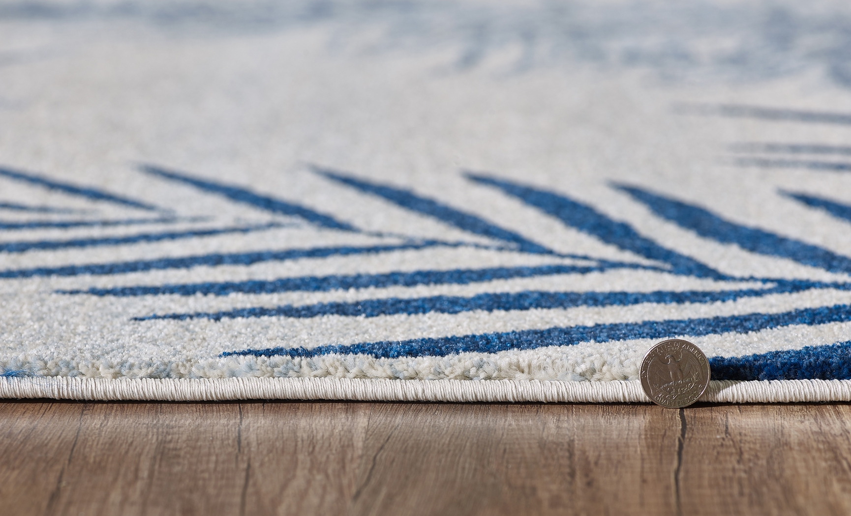 Conviser Ivory 7'10 x 10'10 Rug - Thumbnail - Image 4