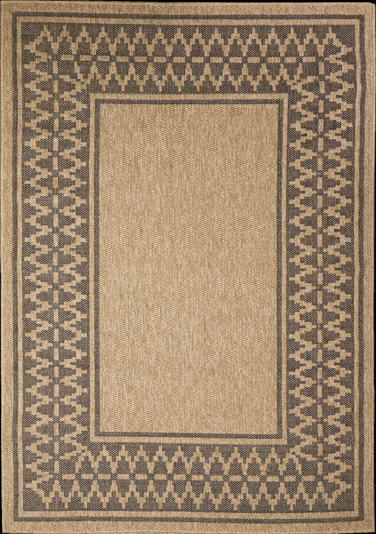 Coosaw Natural 6'6 x 9'4 Indoor/Outdoor Rug - Thumbnail - Image 1