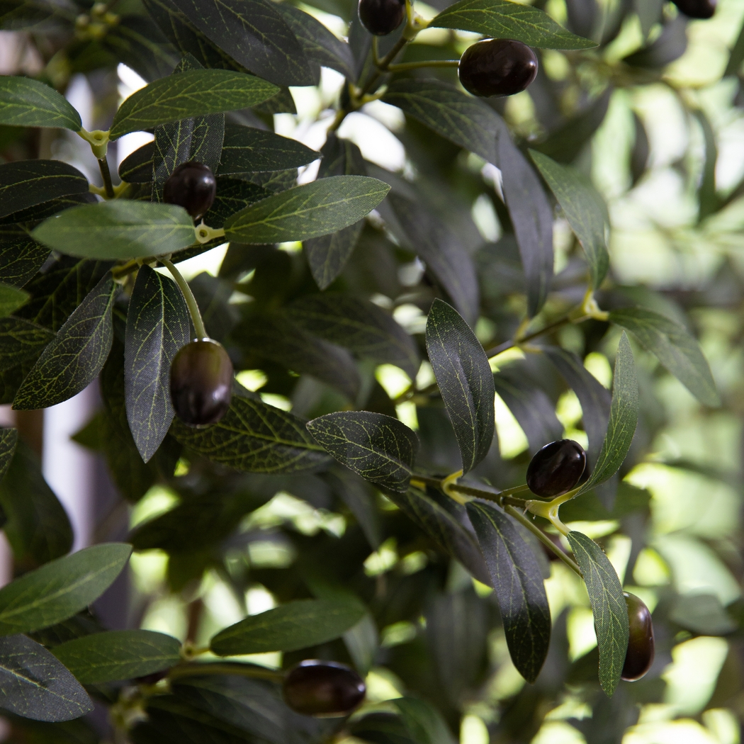 Corvidae Green Tree with Planter - Thumbnail - Image 6